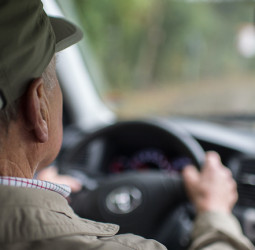 Senioren häufiger Verursacher von Autounfällen
