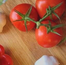 Das sind Deutschlands beste Online-Shops